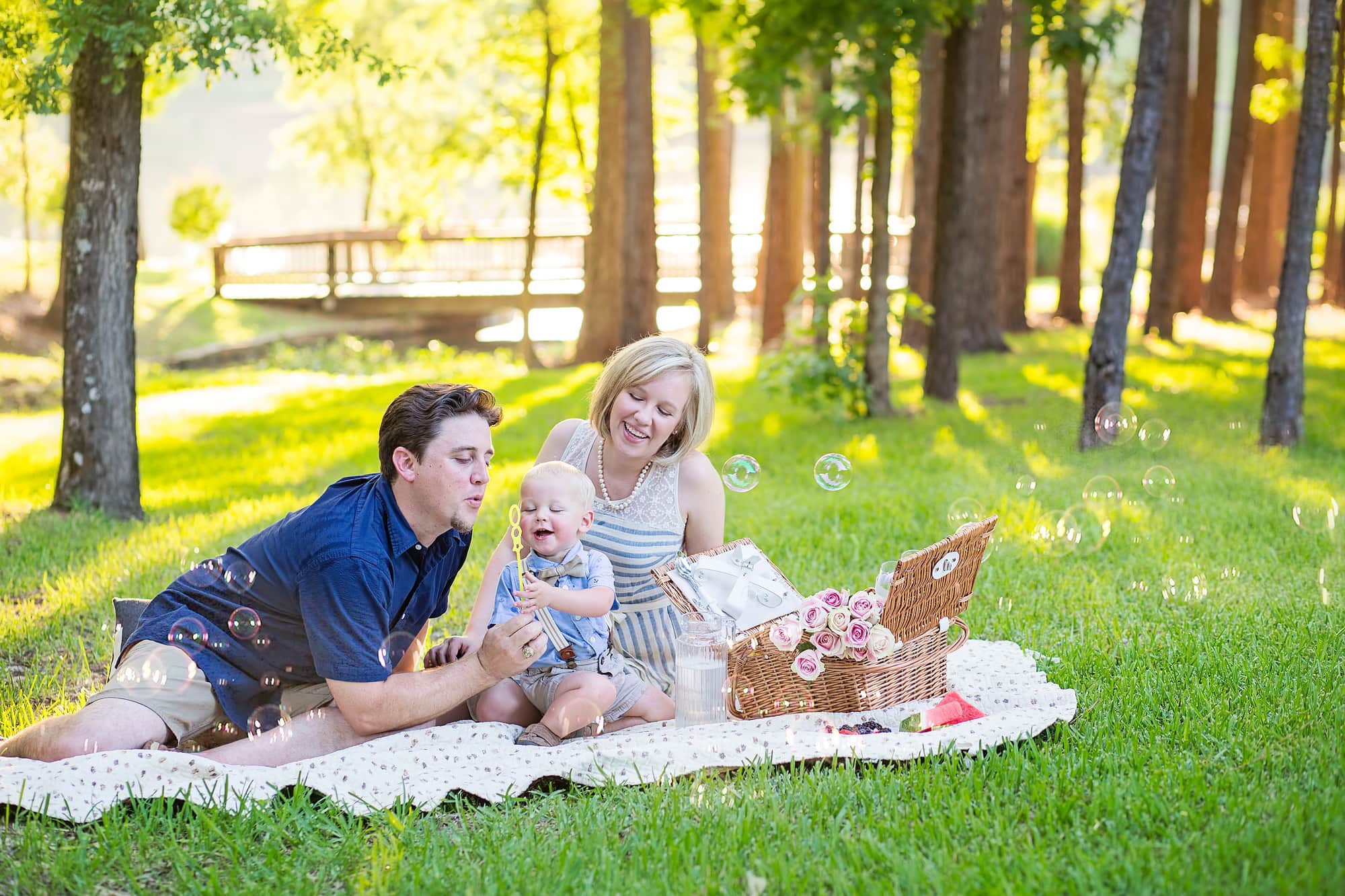 family picnic in park