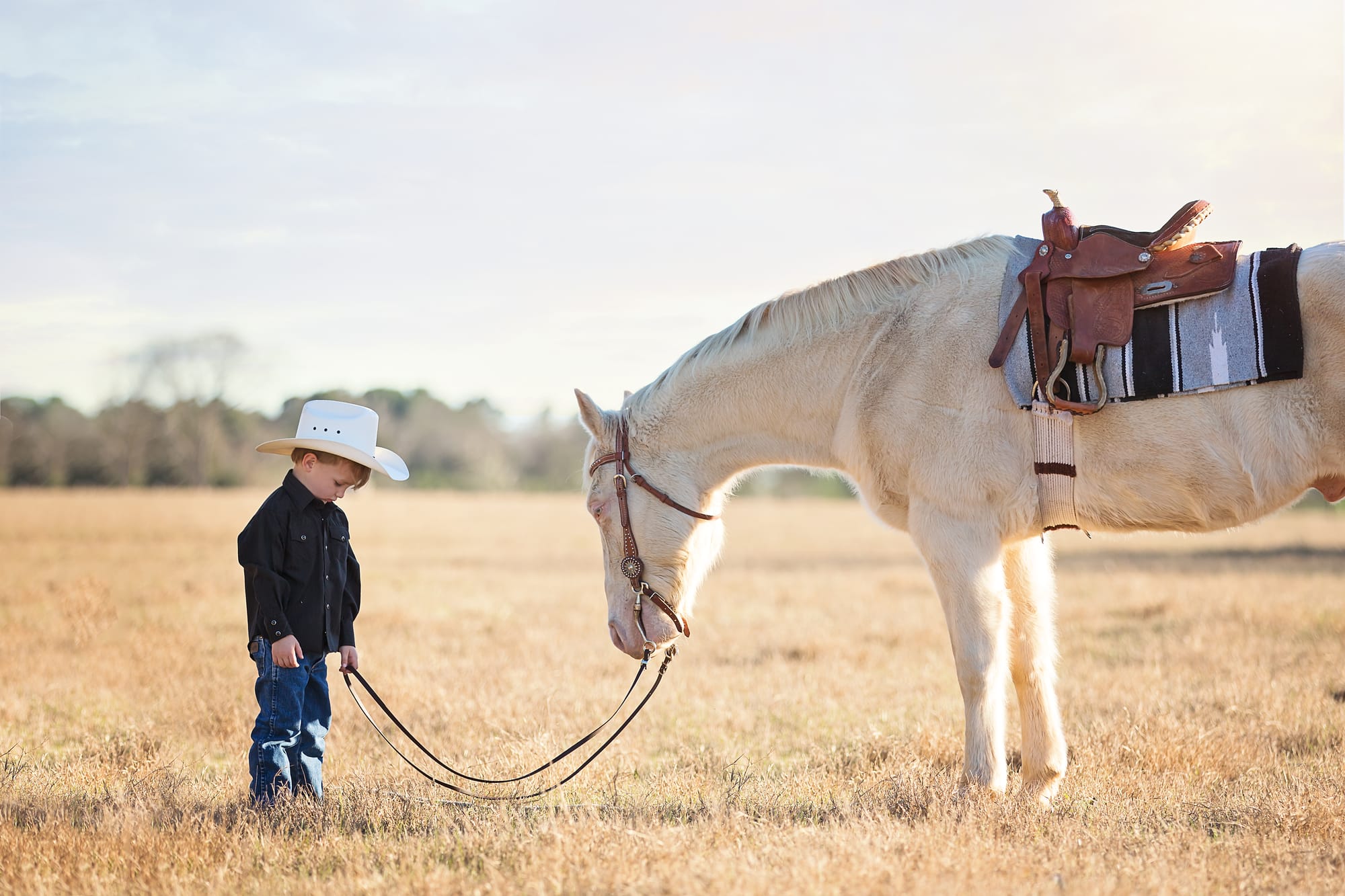 cowboy child with horse